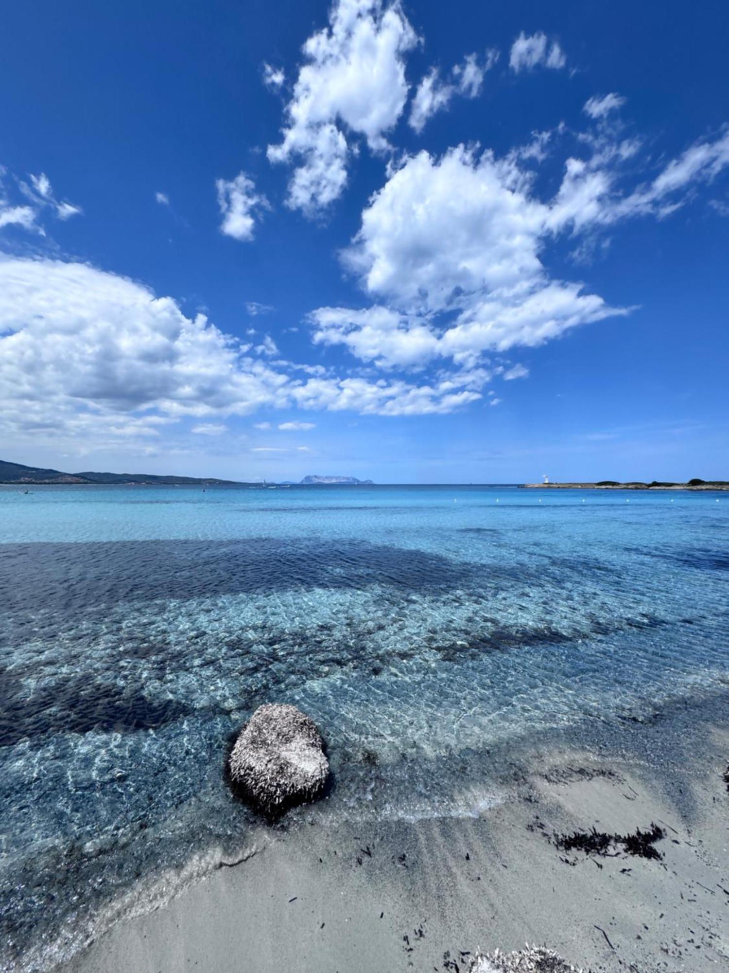 Residence S'Oggiastrone Tanaunella Dış mekan fotoğraf